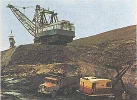 Происхождение угля. История угольной промышленности