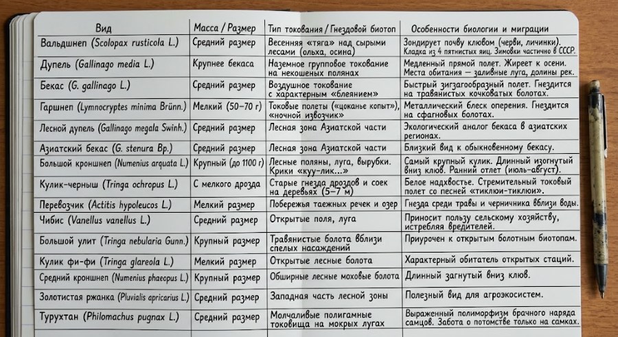 Экология и орнитофауна ржанкообразных куликов лесной зоны
